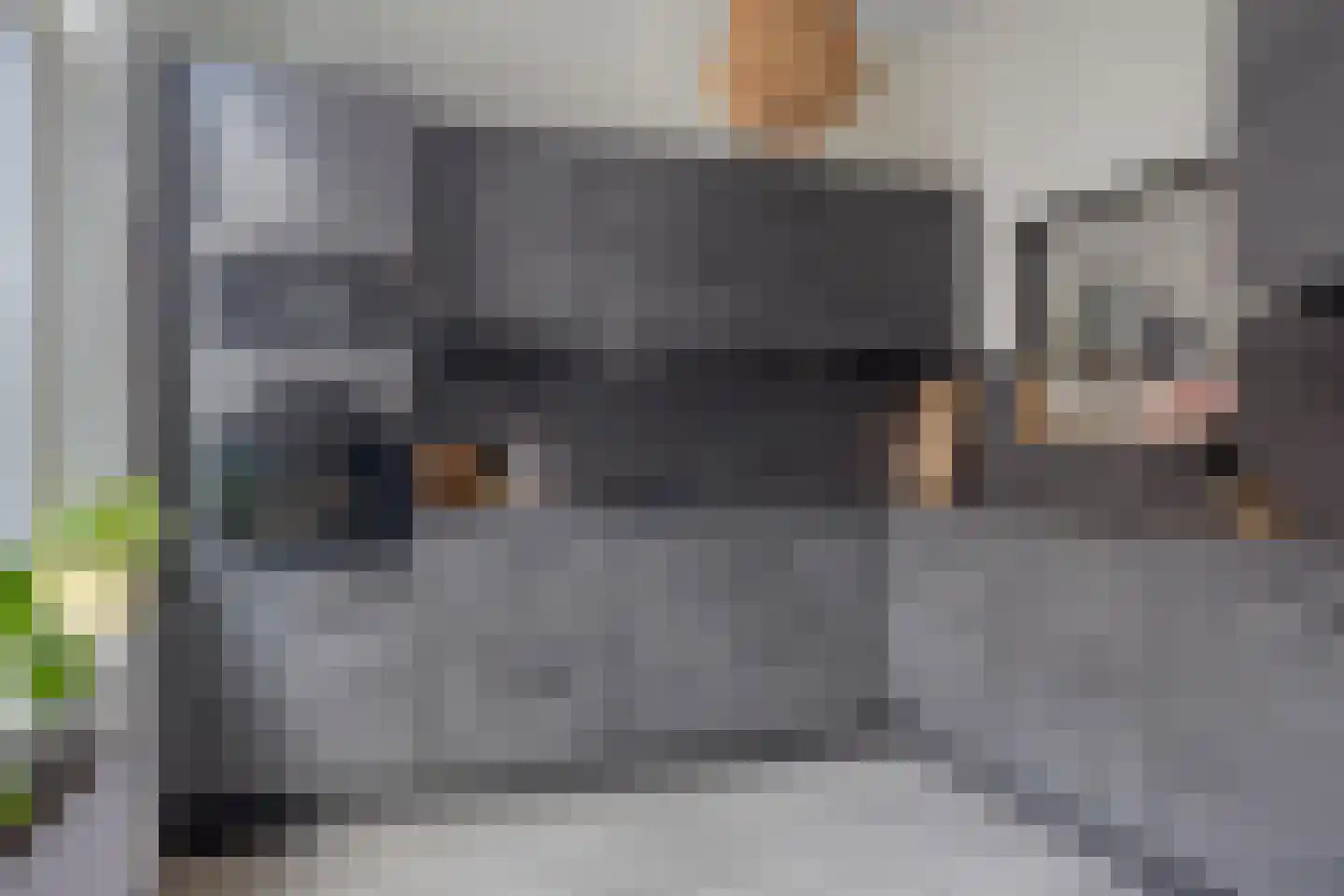 Valkstraat 25 Kampen thumbnail 4