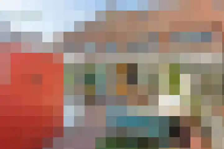 Valkstraat 27 Arnhem thumbnail 19