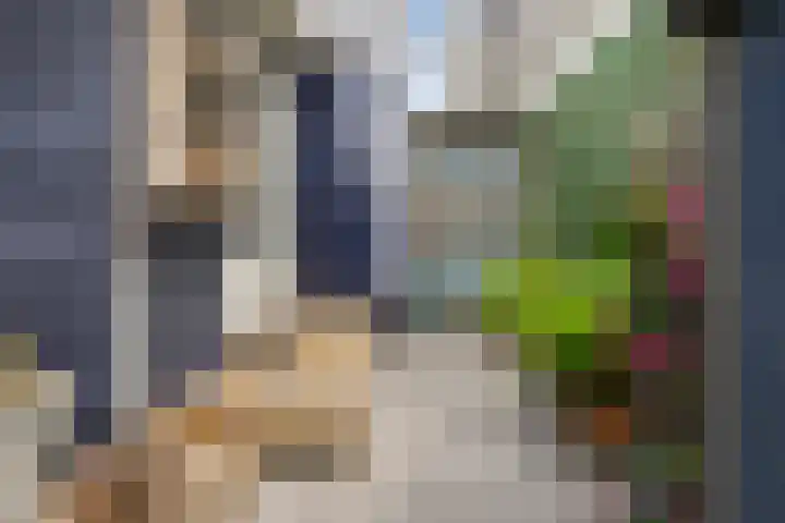 Valkstraat 29 Zaandam thumbnail 22