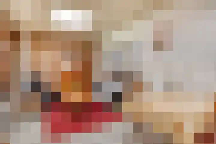 Valkstraat 3 Reusel thumbnail 13