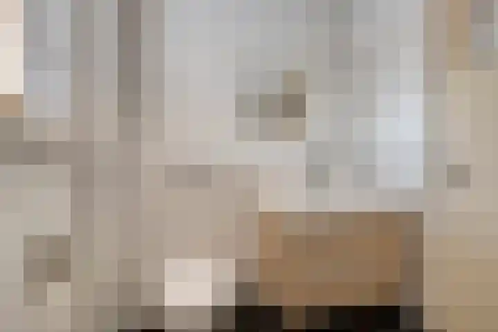 Valkstraat 3 Reusel thumbnail 18