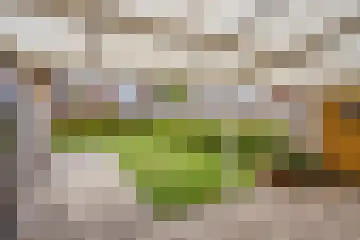 Valkstraat 3 Reusel thumbnail 23