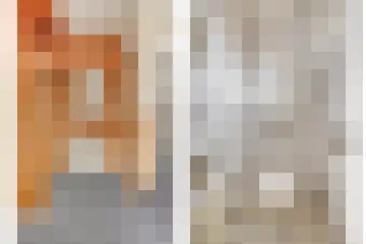 Valkstraat 3 Reusel thumbnail 4