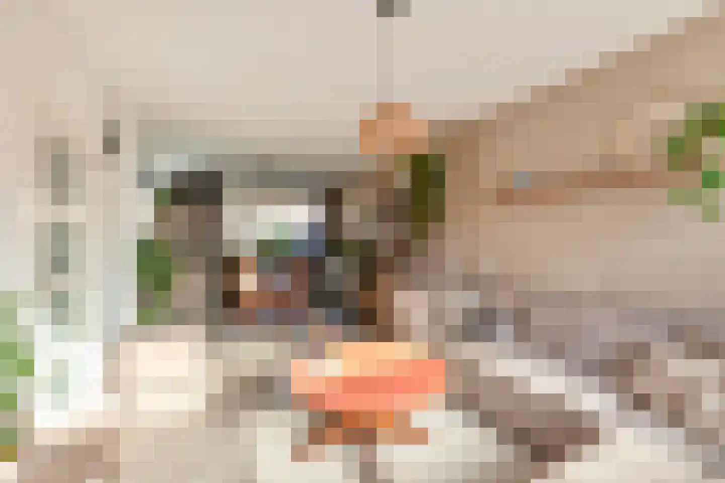 Valkstraat 30 Wijchen thumbnail 10