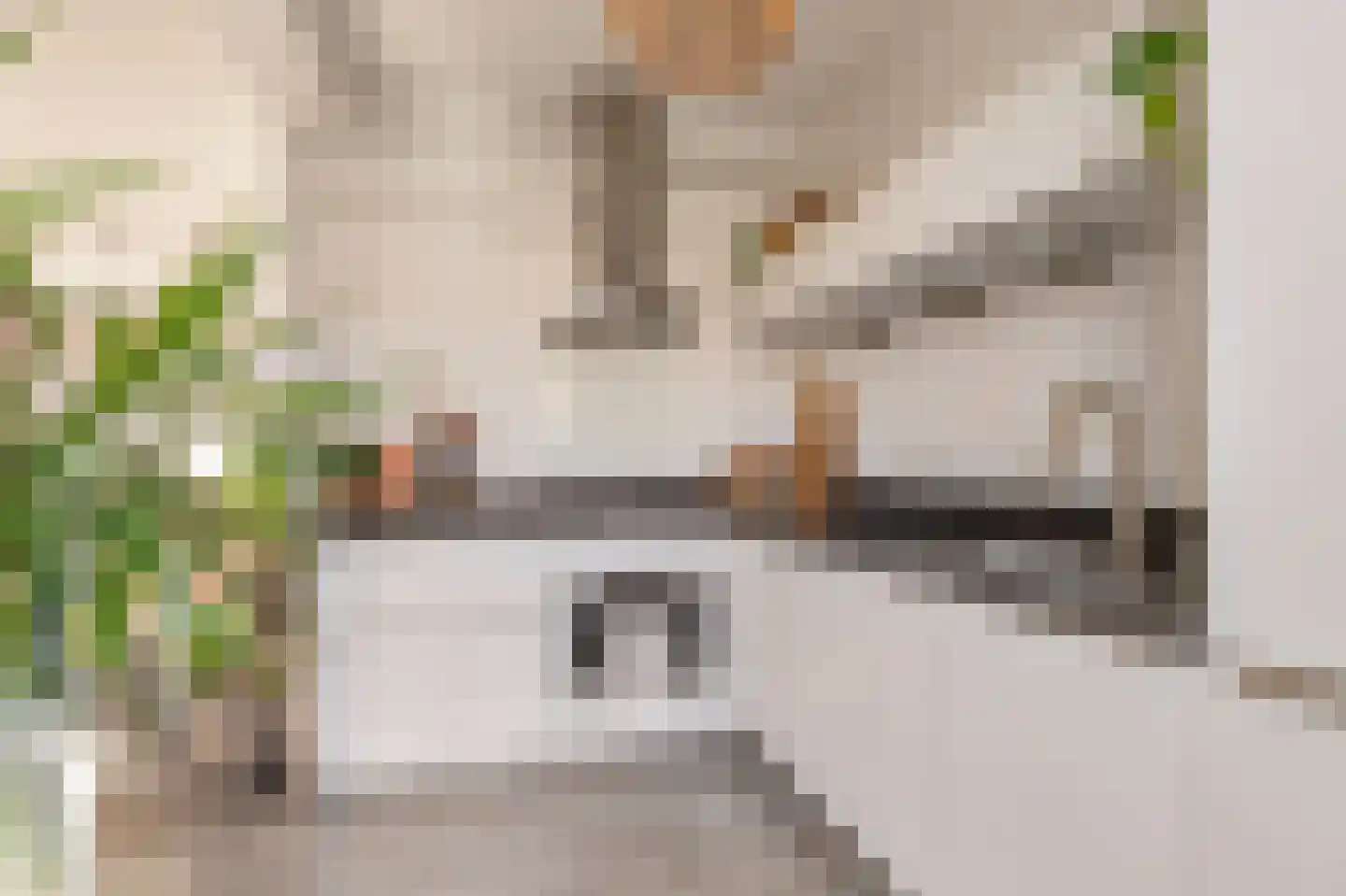 Valkstraat 30 Wijchen thumbnail 14