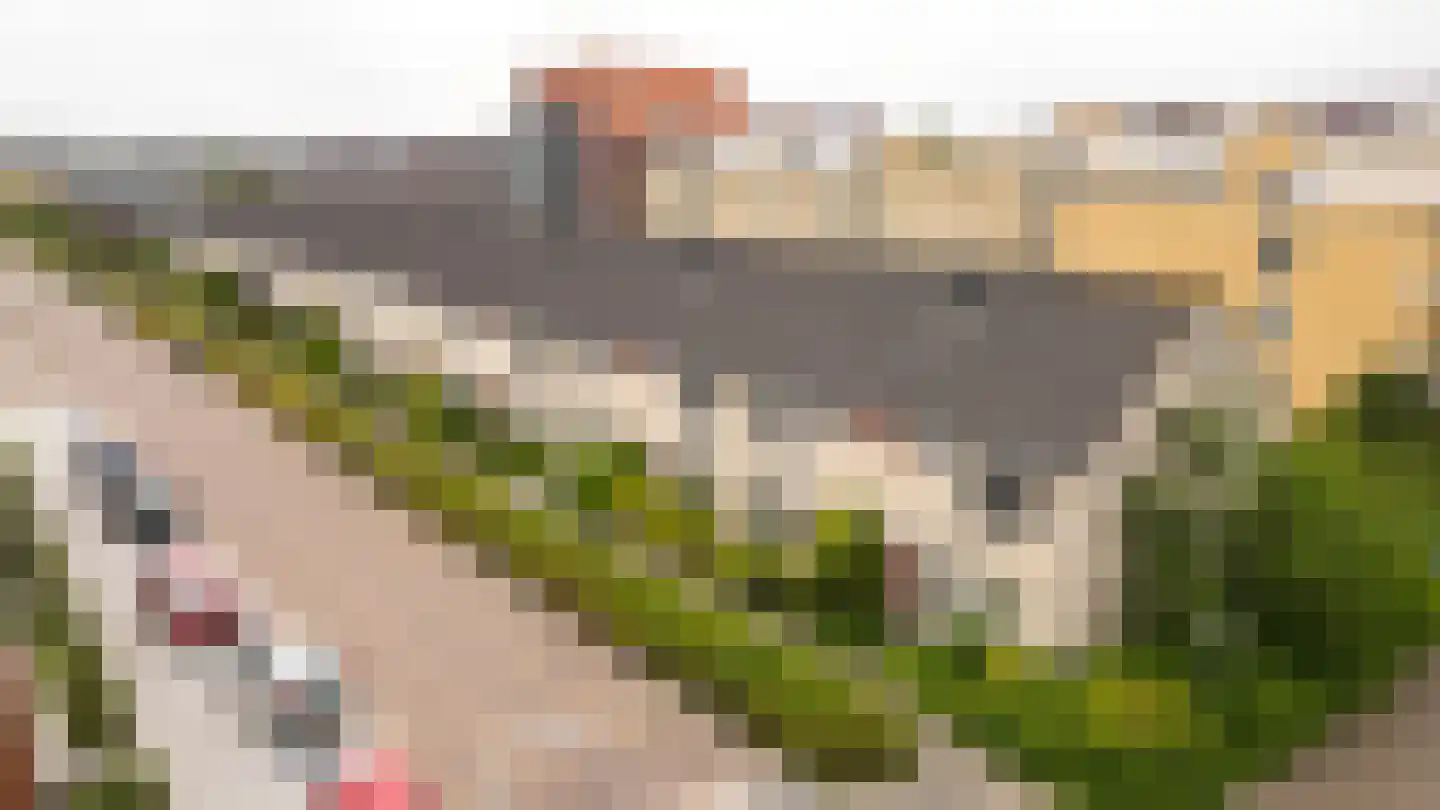 Valkstraat 32 Sneek thumbnail 32