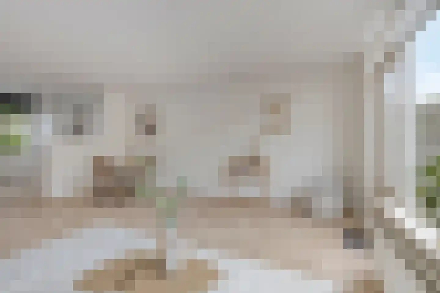 Valkstraat 32 Sneek thumbnail 4