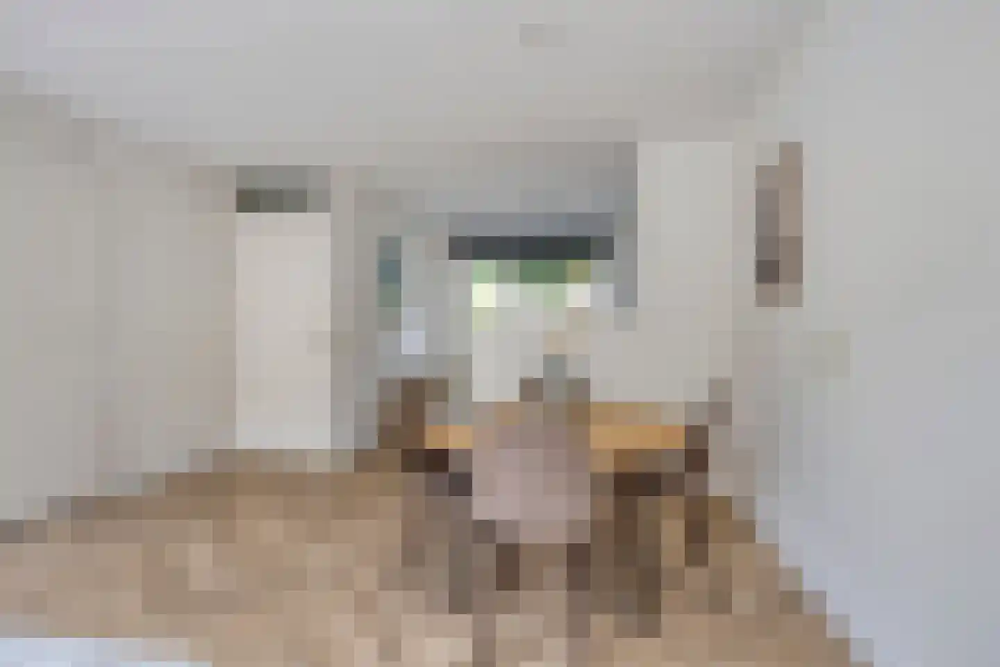 Valkstraat 32 Sneek thumbnail 6