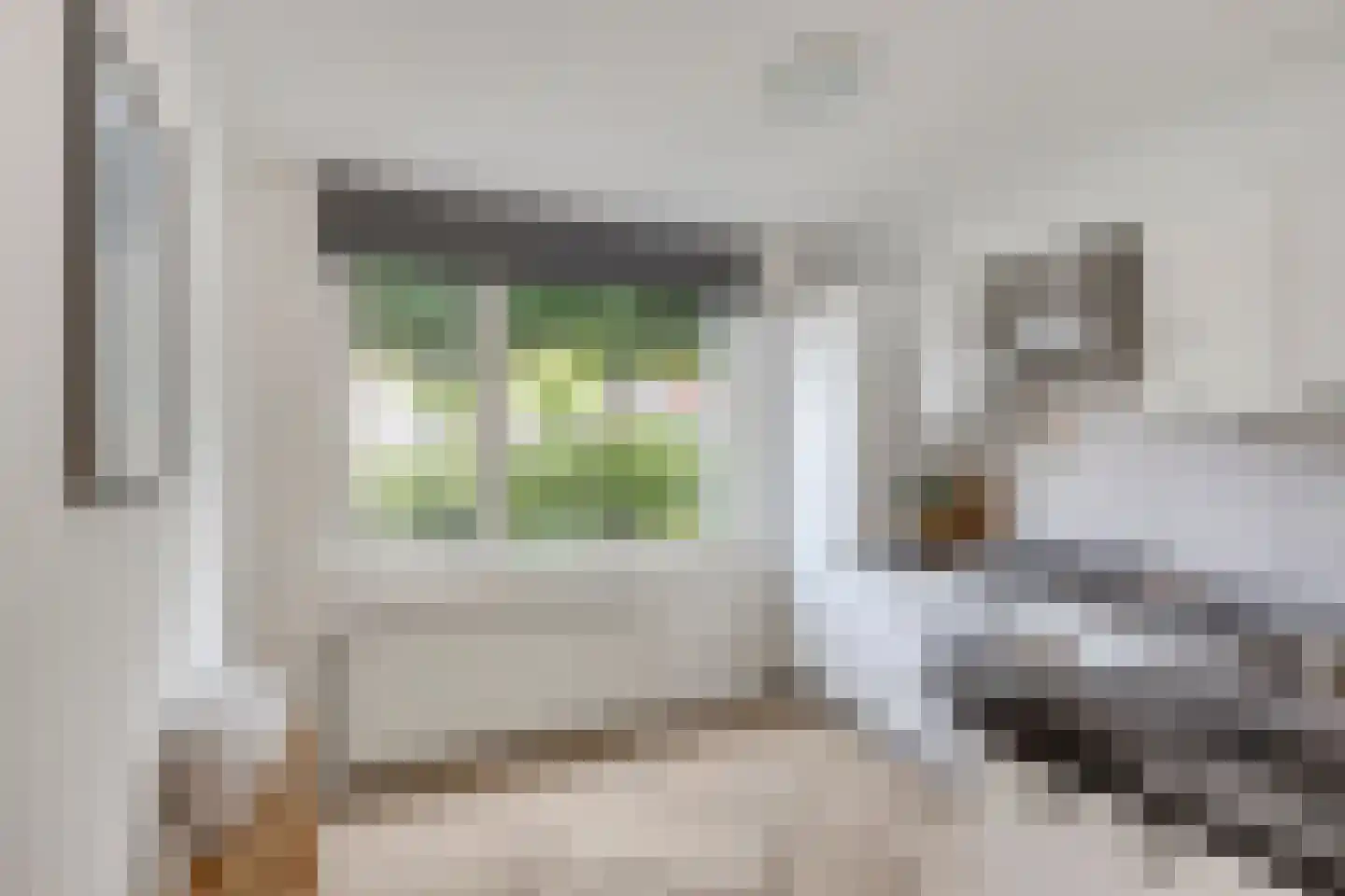 Valkstraat 32 Sneek thumbnail 8