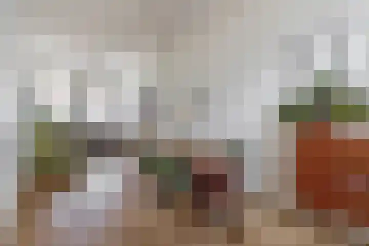 Valkstraat 35 Utrecht thumbnail 15