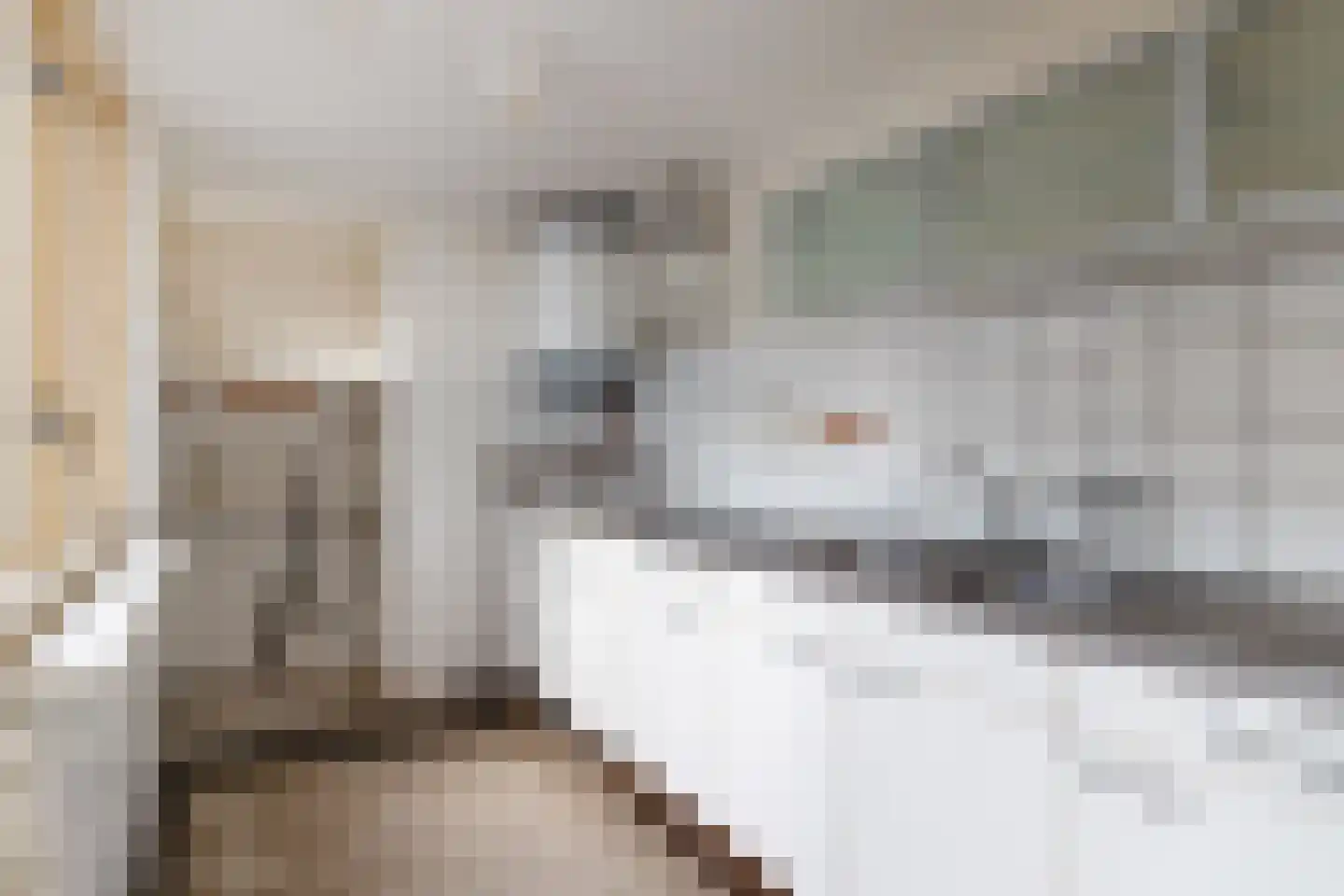 Valkstraat 36 Utrecht thumbnail 13