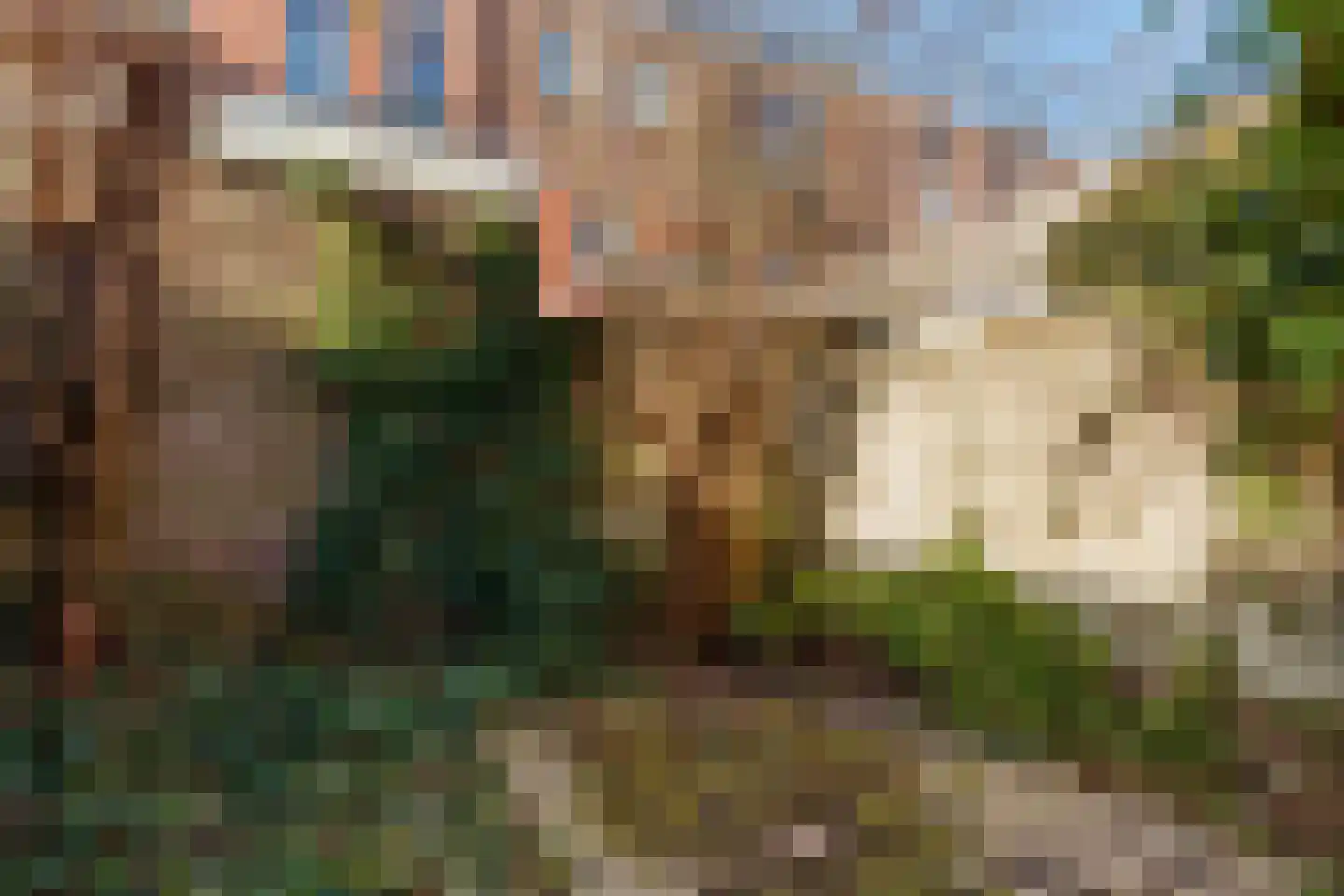 Valkstraat 36 Utrecht thumbnail 16