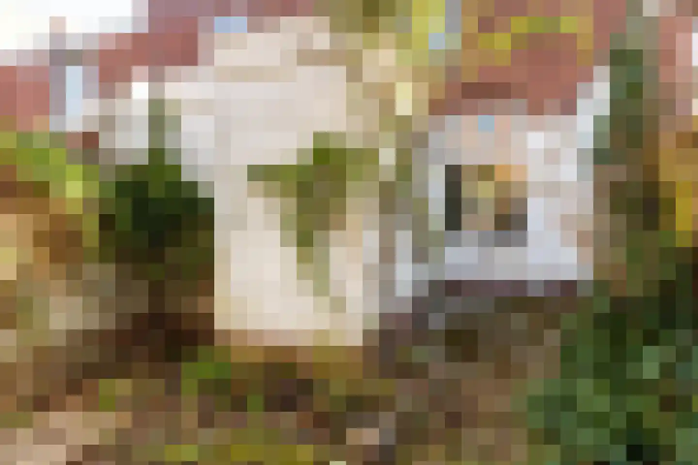 Valkstraat 36 Utrecht thumbnail 17