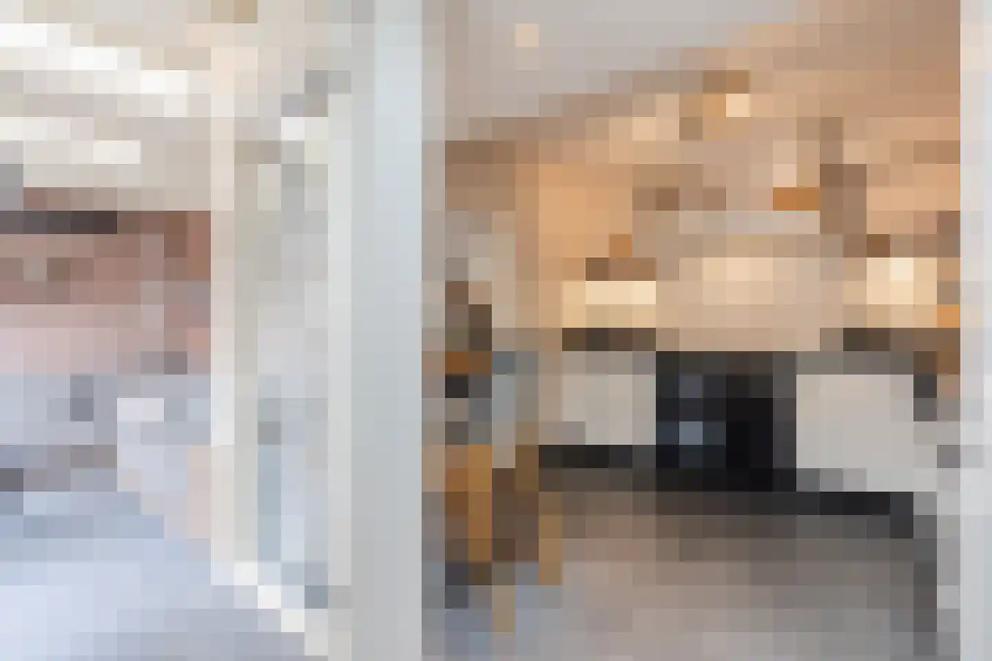 Valkstraat 4 Wapenveld thumbnail 13