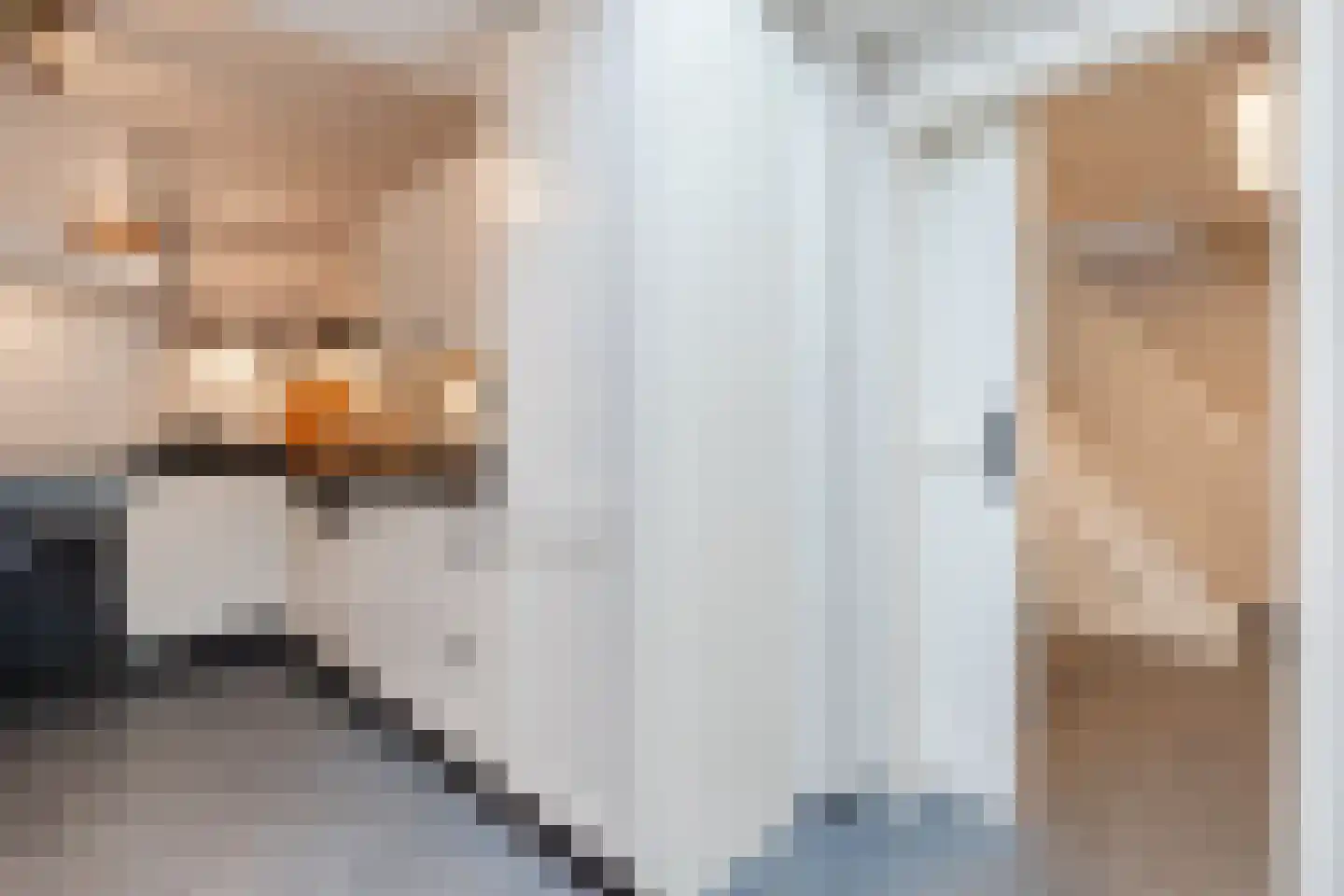 Valkstraat 4 Wapenveld thumbnail 14