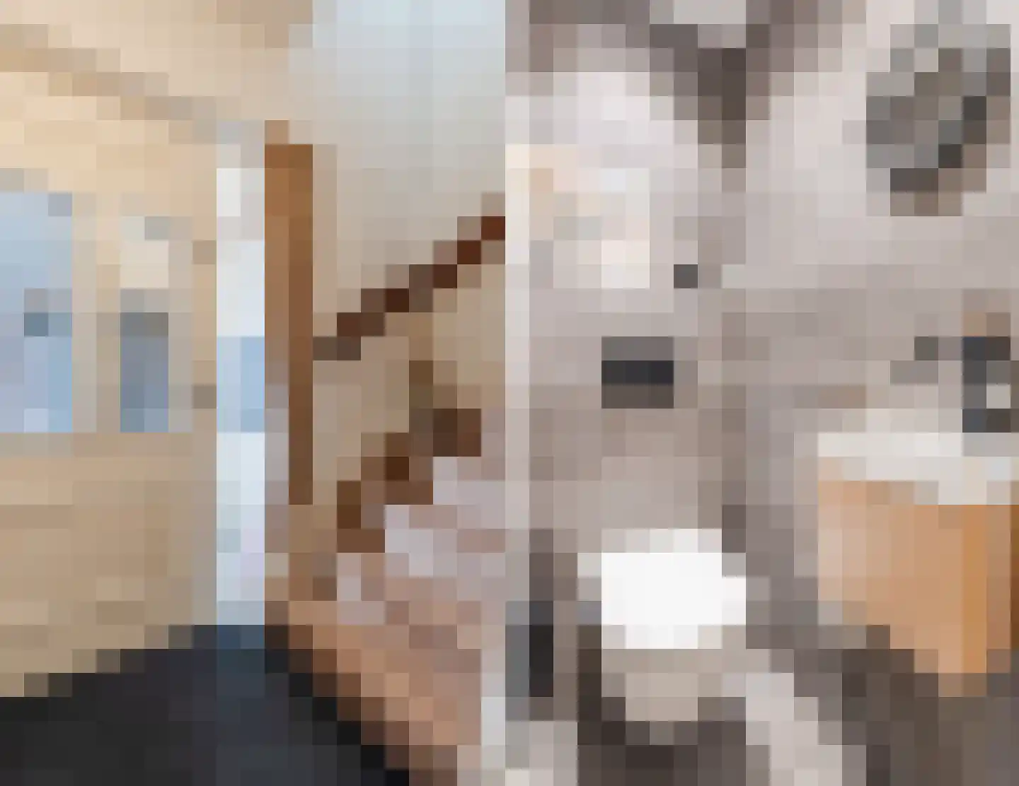 Valkstraat 4 Wapenveld thumbnail 16