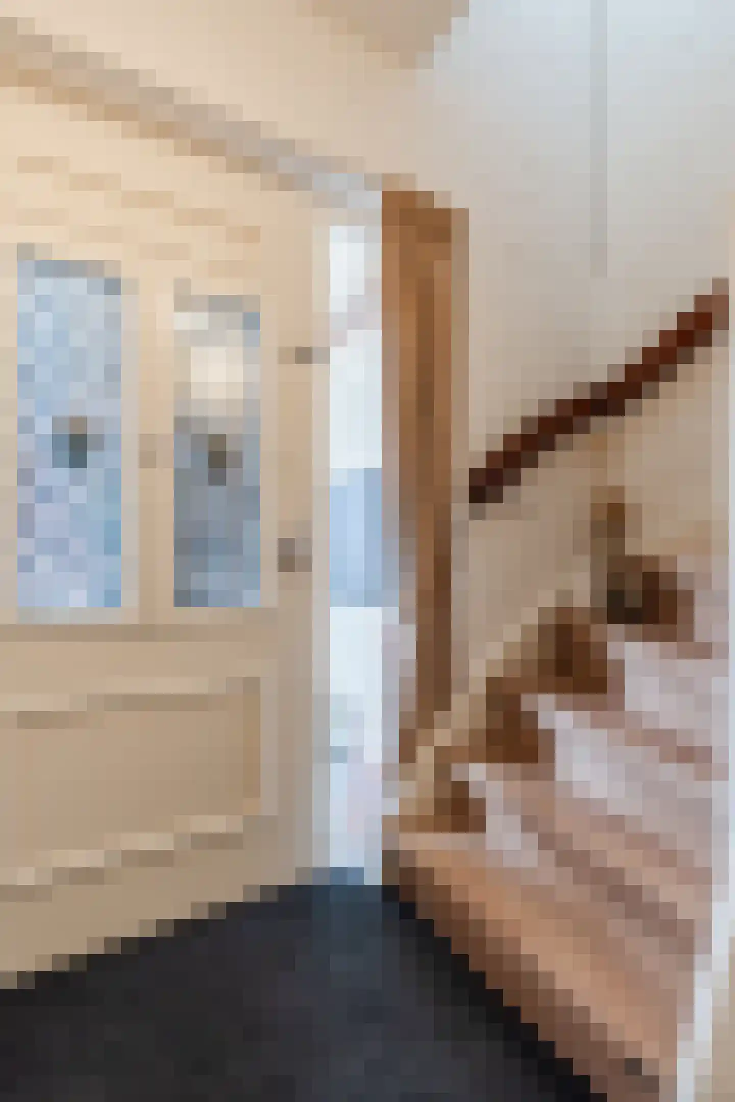 Valkstraat 4 Wapenveld thumbnail 17