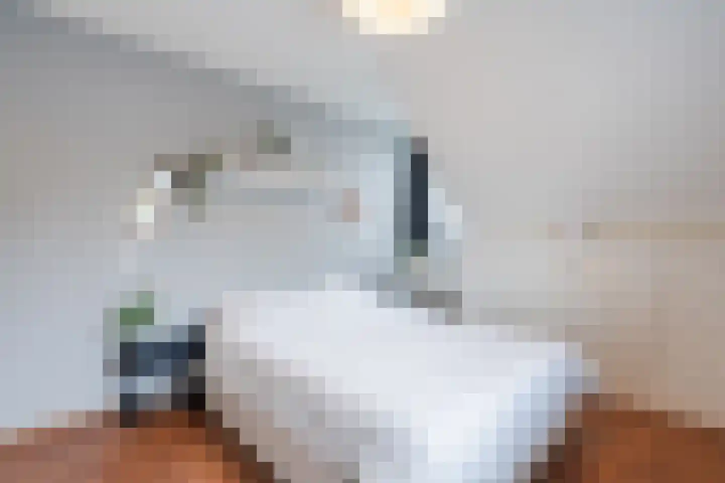 Valkstraat 4 Wapenveld thumbnail 21