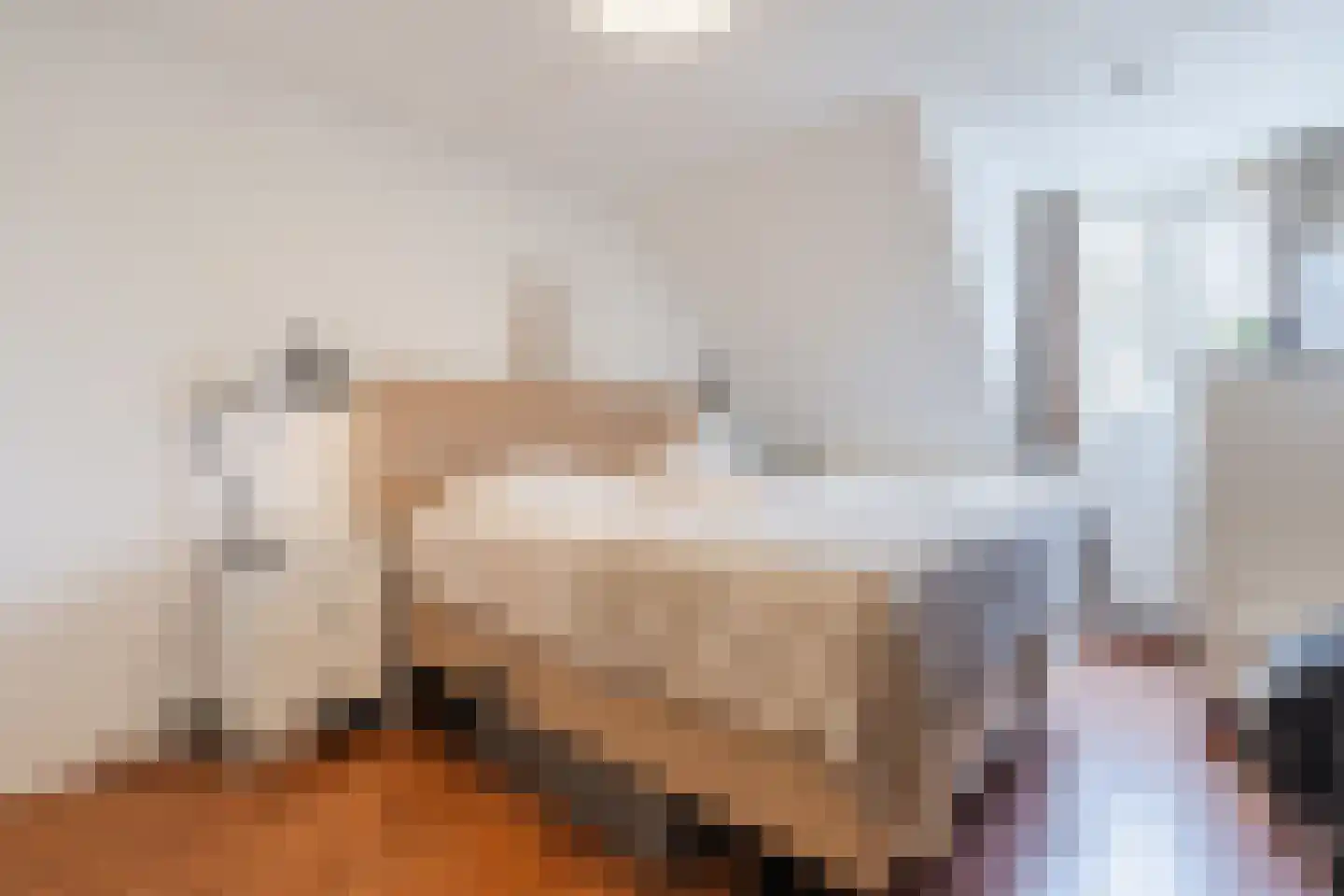 Valkstraat 4 Wapenveld thumbnail 25