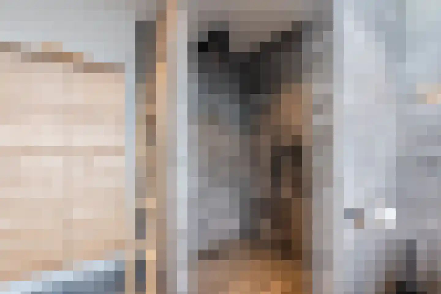 Valkstraat 4 Wapenveld thumbnail 34