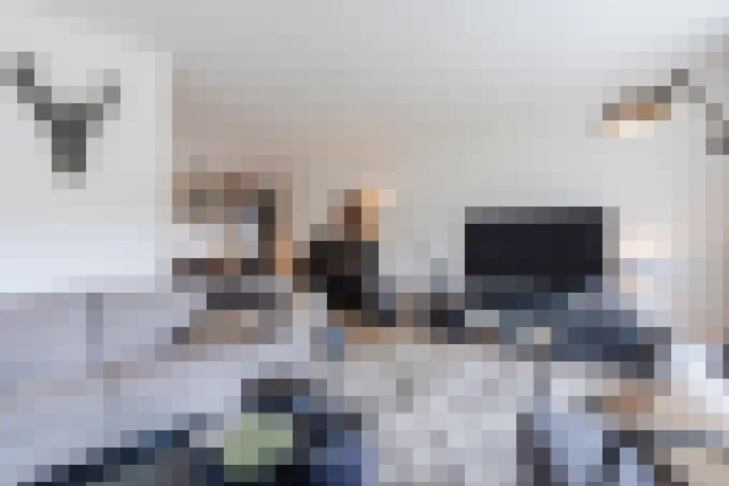Valkstraat 4 Wapenveld thumbnail 4