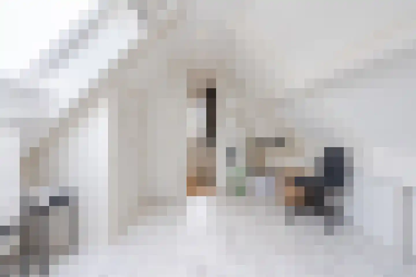Valkstraat 4 Wapenveld thumbnail 40