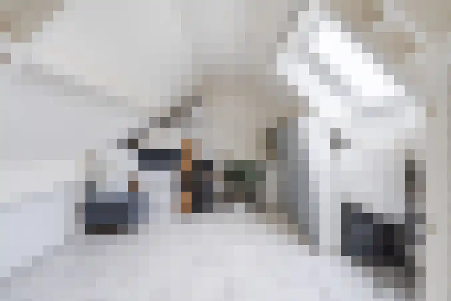 Valkstraat 4 Wapenveld thumbnail 41