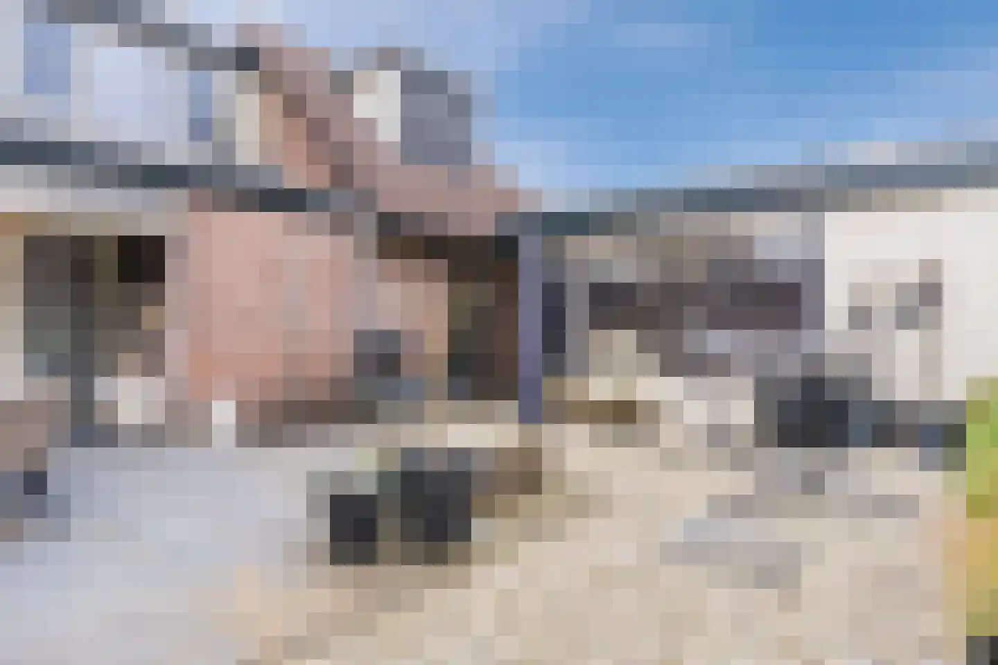 Valkstraat 4 Wapenveld thumbnail 44