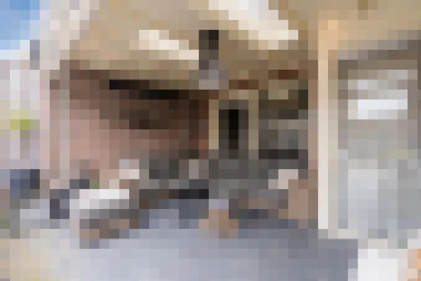 Valkstraat 4 Wapenveld thumbnail 45