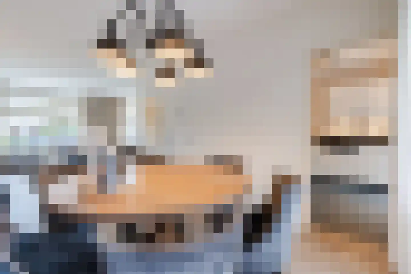 Valkstraat 4 Wapenveld thumbnail 7