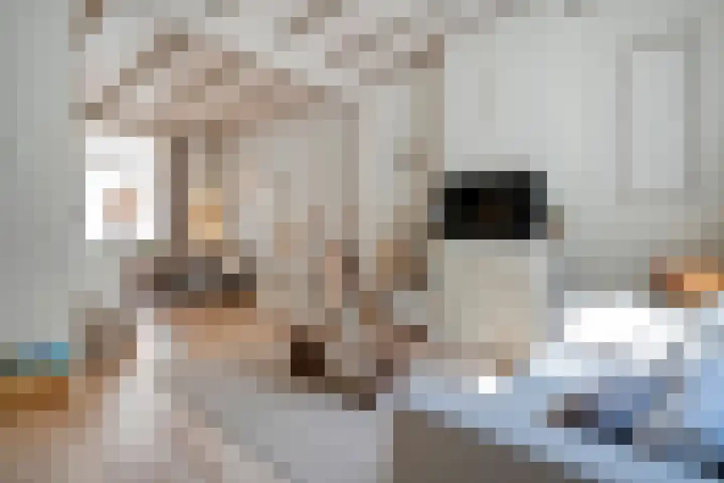 Valkstraat 5 Kampen thumbnail 10