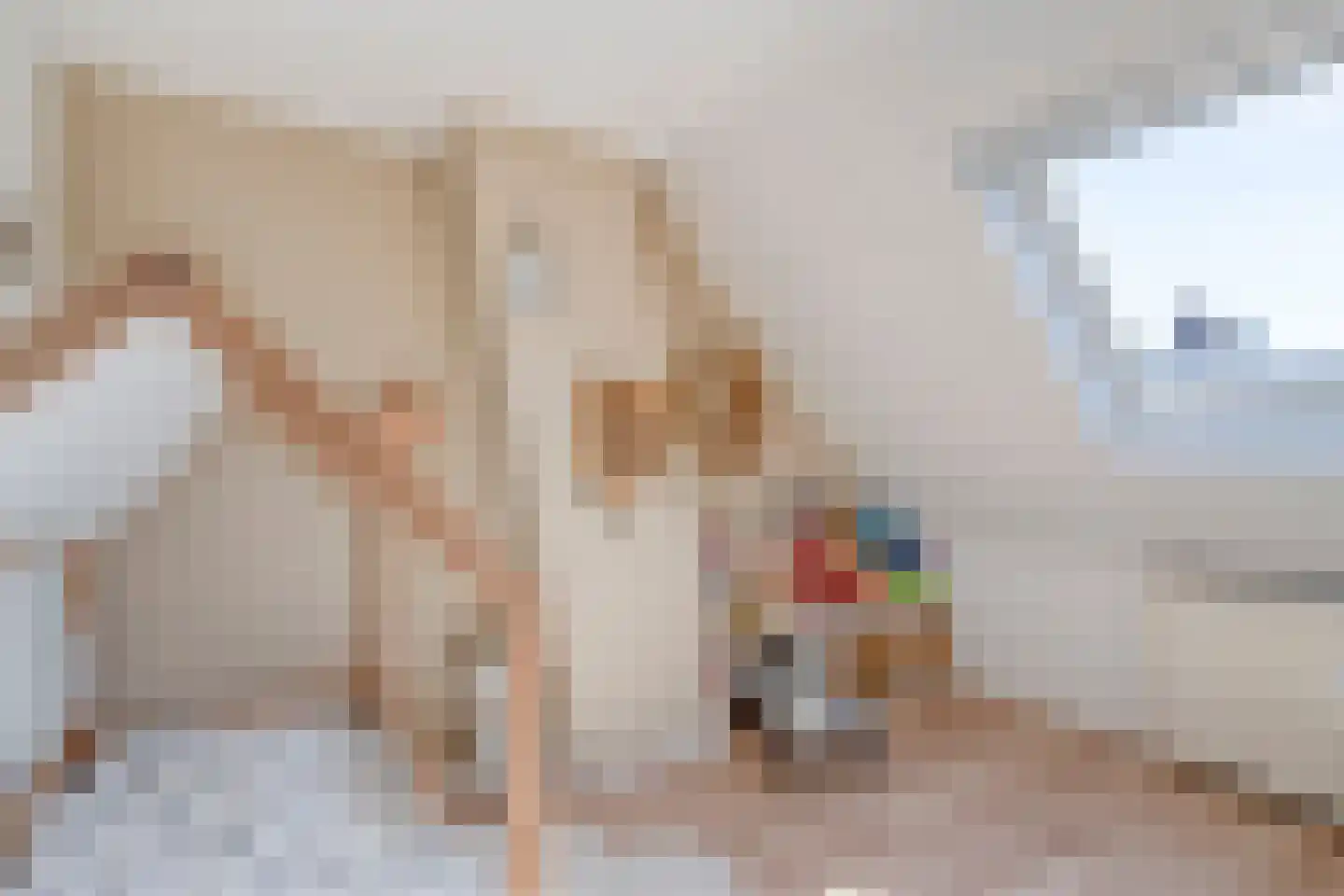 Valkstraat 5 Kampen thumbnail 18