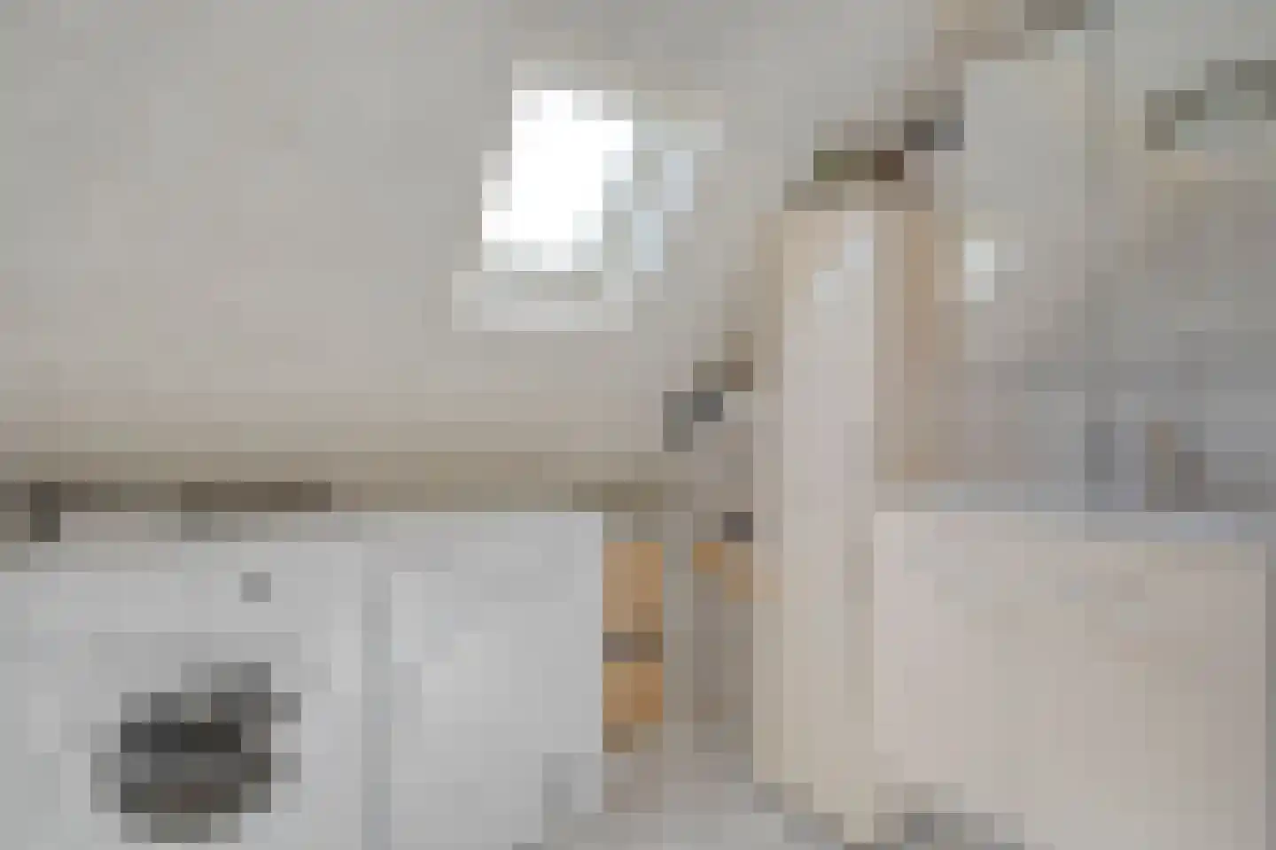 Valkstraat 5 Kampen thumbnail 20