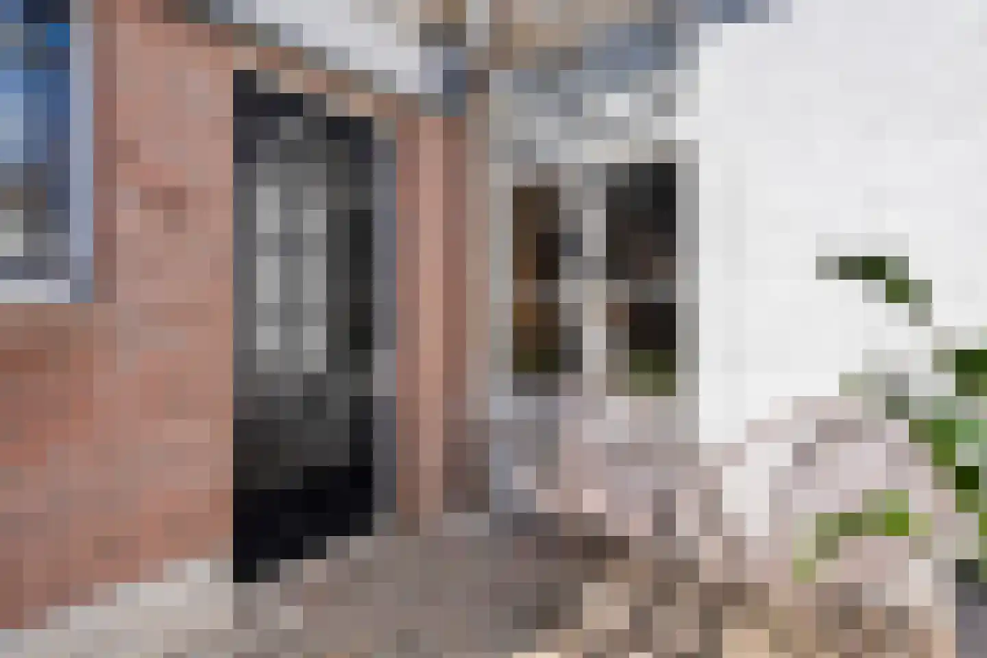 Valkstraat 5 Kampen thumbnail 22