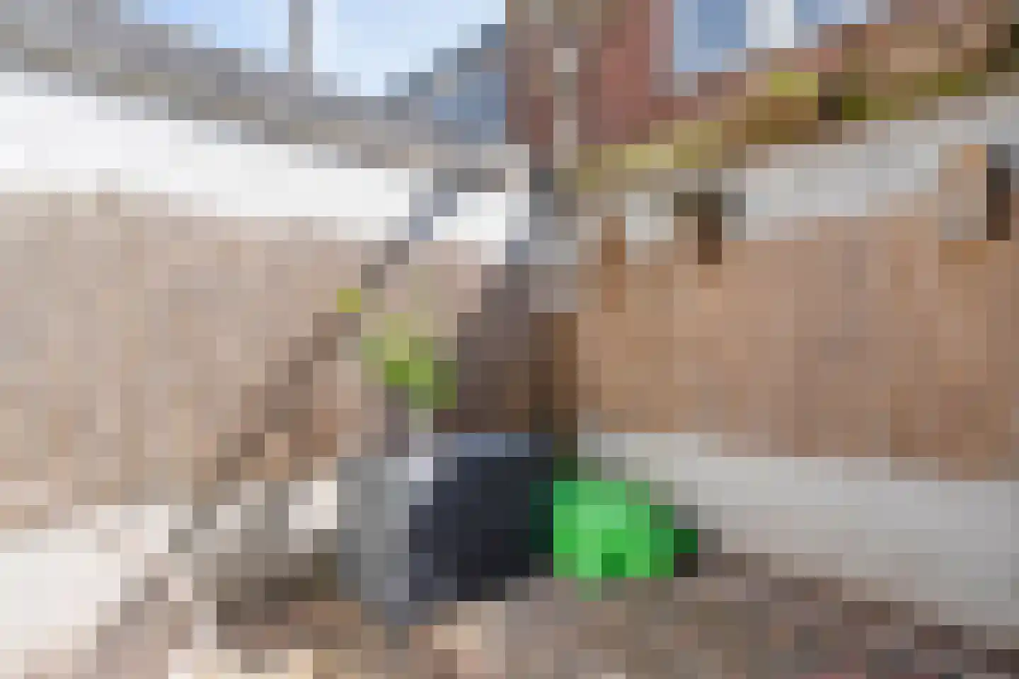 Valkstraat 5 Kampen thumbnail 23