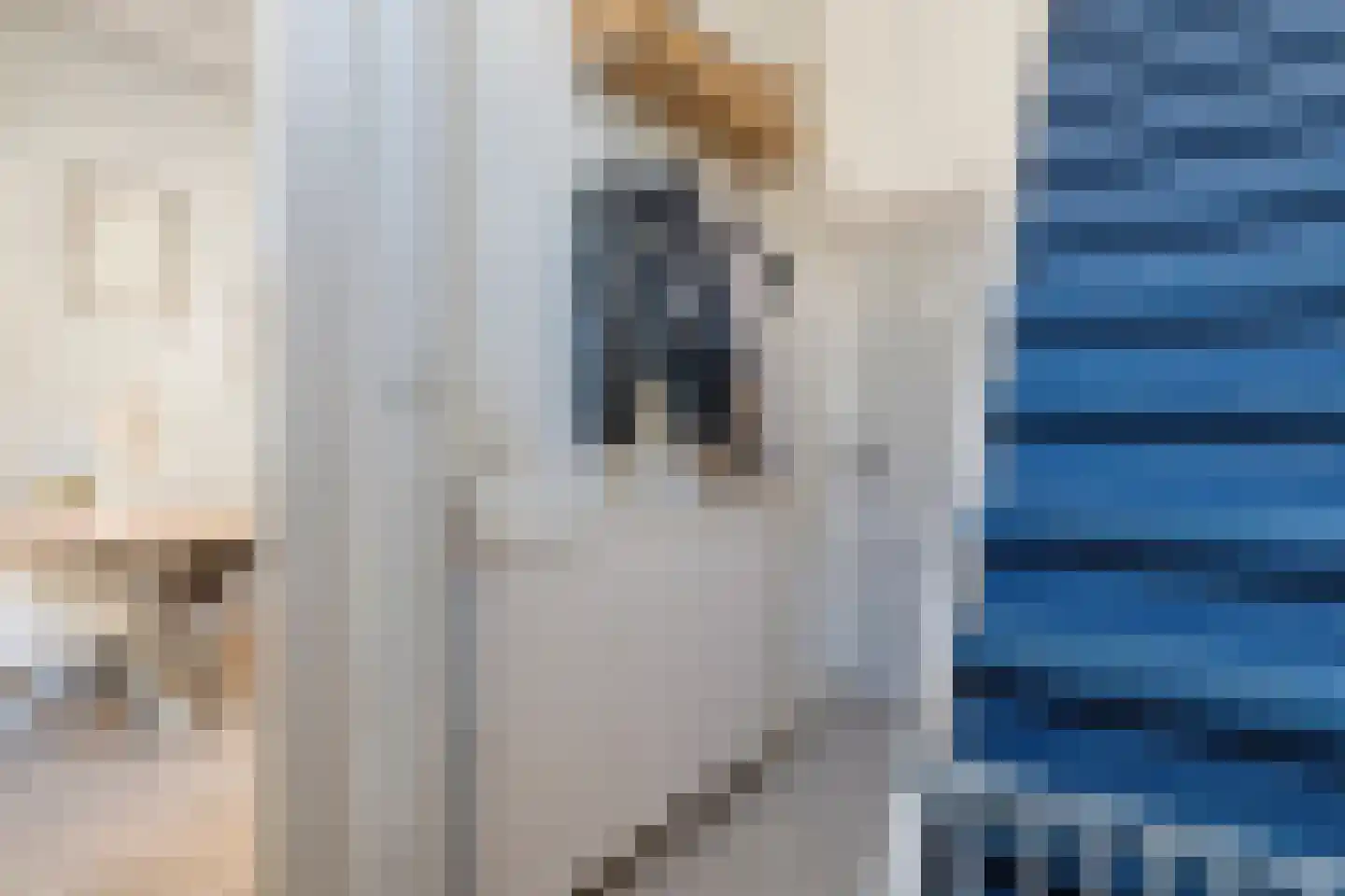 Valkstraat 5 Kampen thumbnail 4