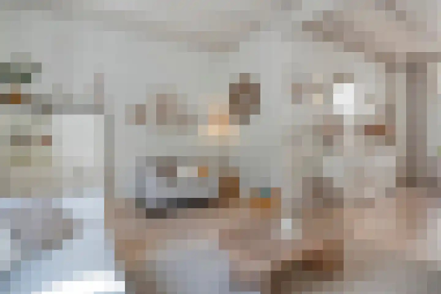 Valkstraat 5 Kampen thumbnail 9