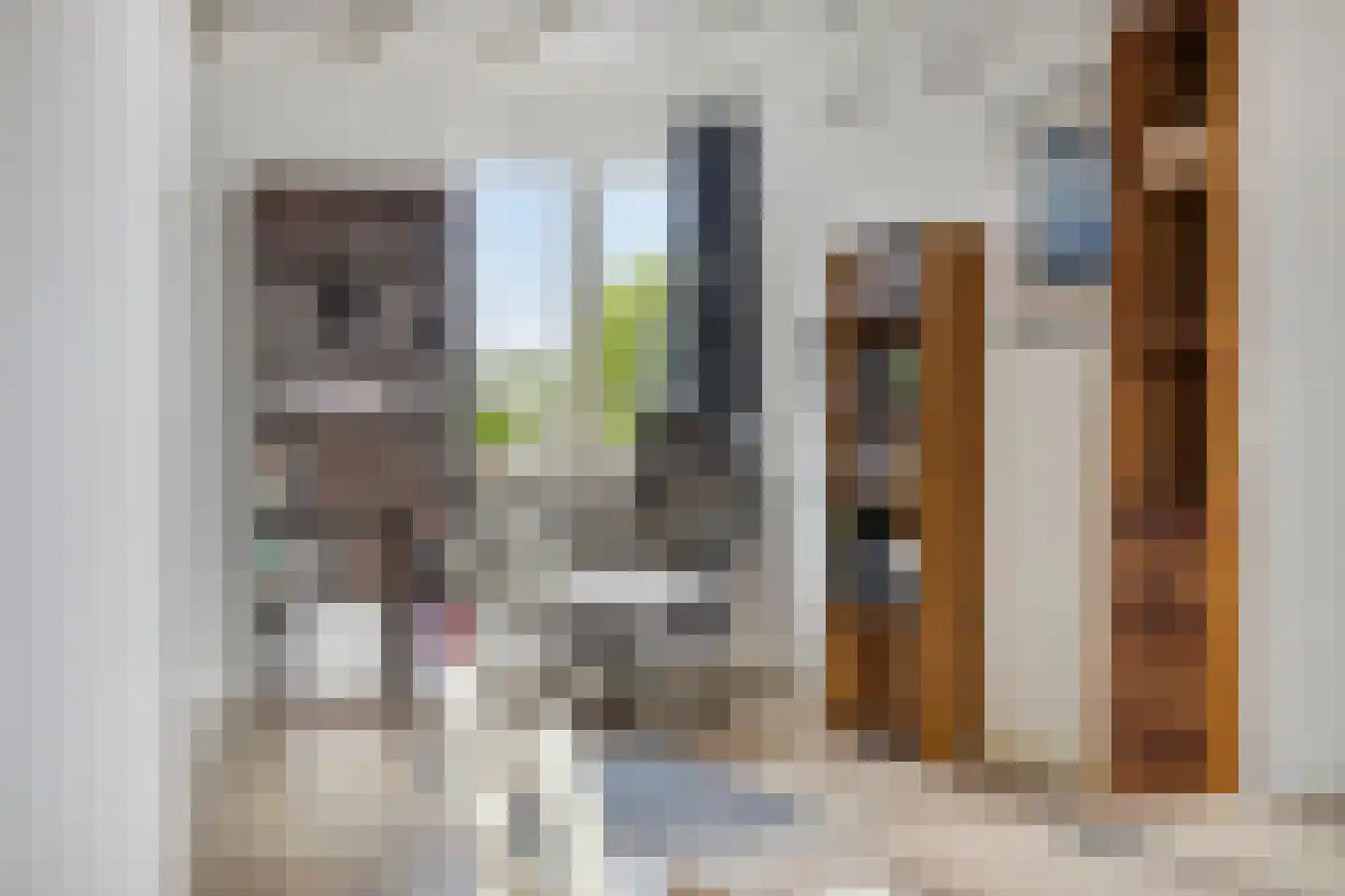 Valkstraat 53 Zaandam thumbnail 22
