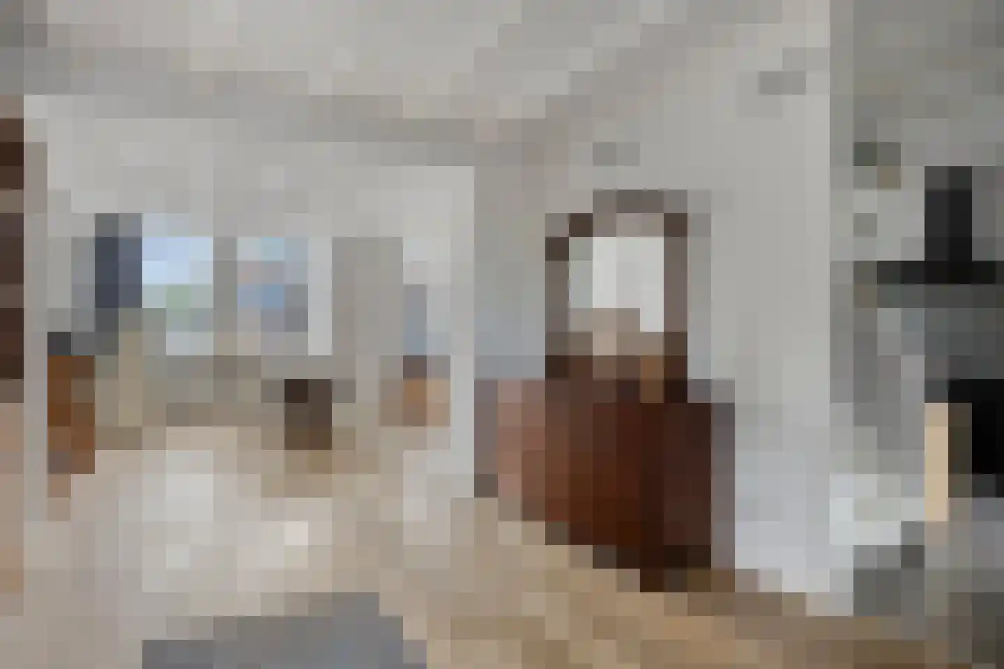 Valkstraat 53 Zaandam thumbnail 23