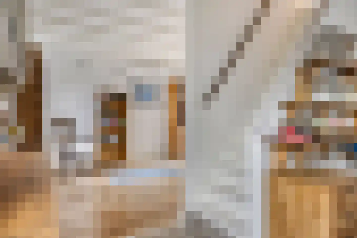 Valkstraat 53 Zaandam thumbnail 32