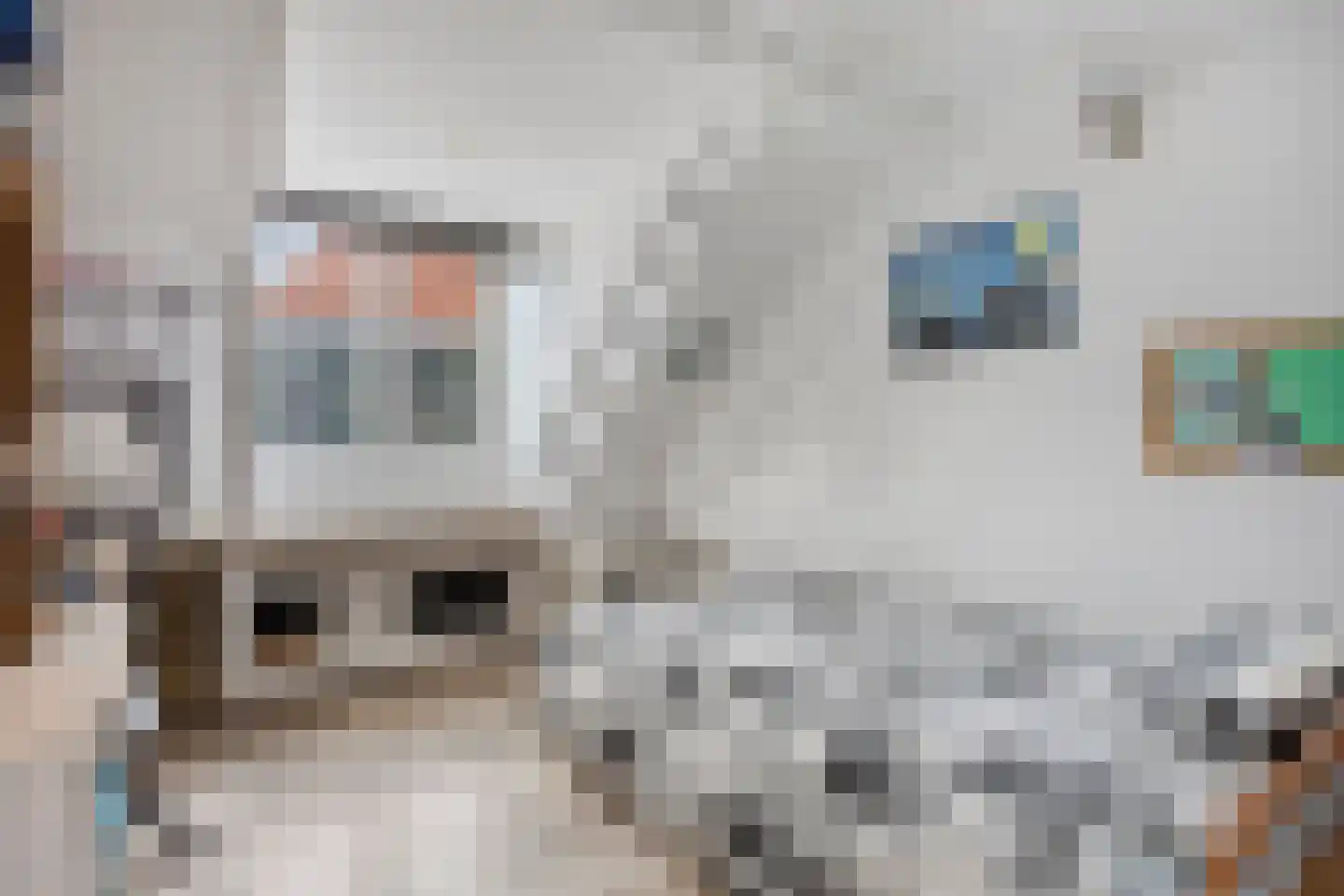 Valkstraat 53 Zaandam thumbnail 40