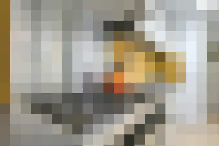 Valkstraat 64 Utrecht thumbnail 16