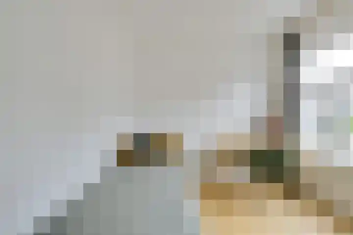 Valkstraat 64 Utrecht thumbnail 35
