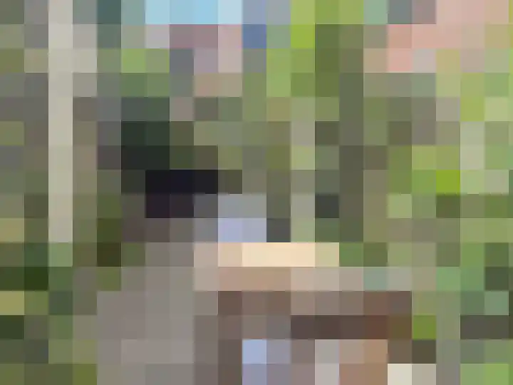 Valkstraat 64 Utrecht thumbnail 4