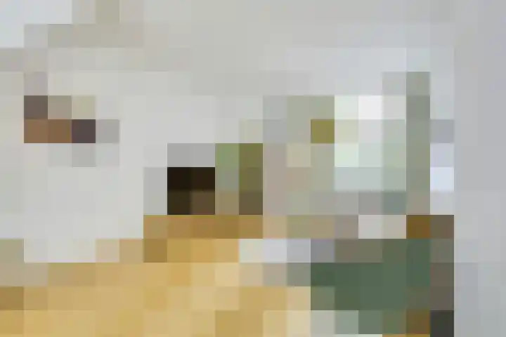 Valkstraat 64 Utrecht thumbnail 7