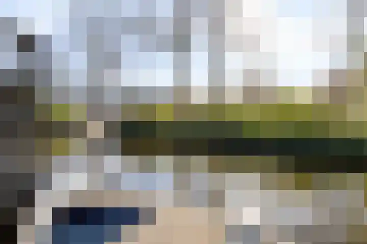 Valkstraat 7 Zaandam thumbnail 17