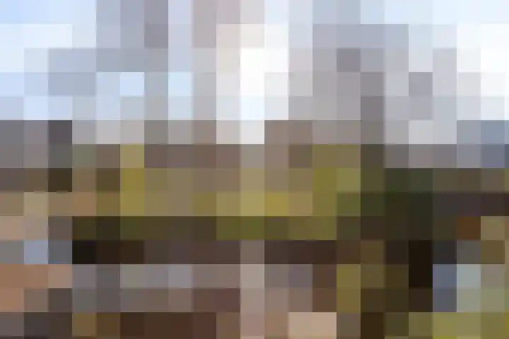 Valkstraat 7 Zaandam thumbnail 34