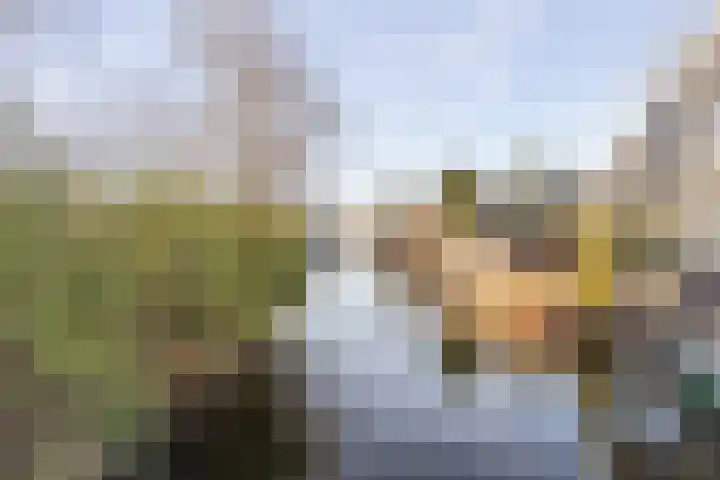 Valkstraat 7 Zaandam thumbnail 37