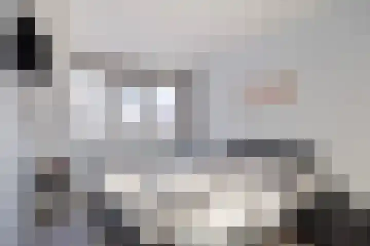 Vallaat 25 Tolbert thumbnail 22