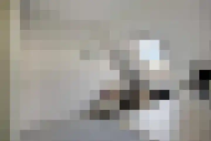 Vallaat 25 Tolbert thumbnail 26